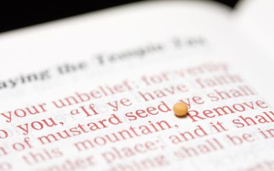 The Meaning of Matthew 17:20: “If You Have Faith as a Mustard Seed”